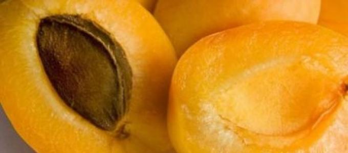 Как сушить абрикосы на курагу и сухофрукты в домашних условиях?
